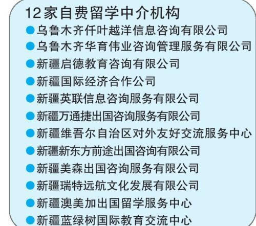 新疆12家中介机构有了出国留学服务资格-